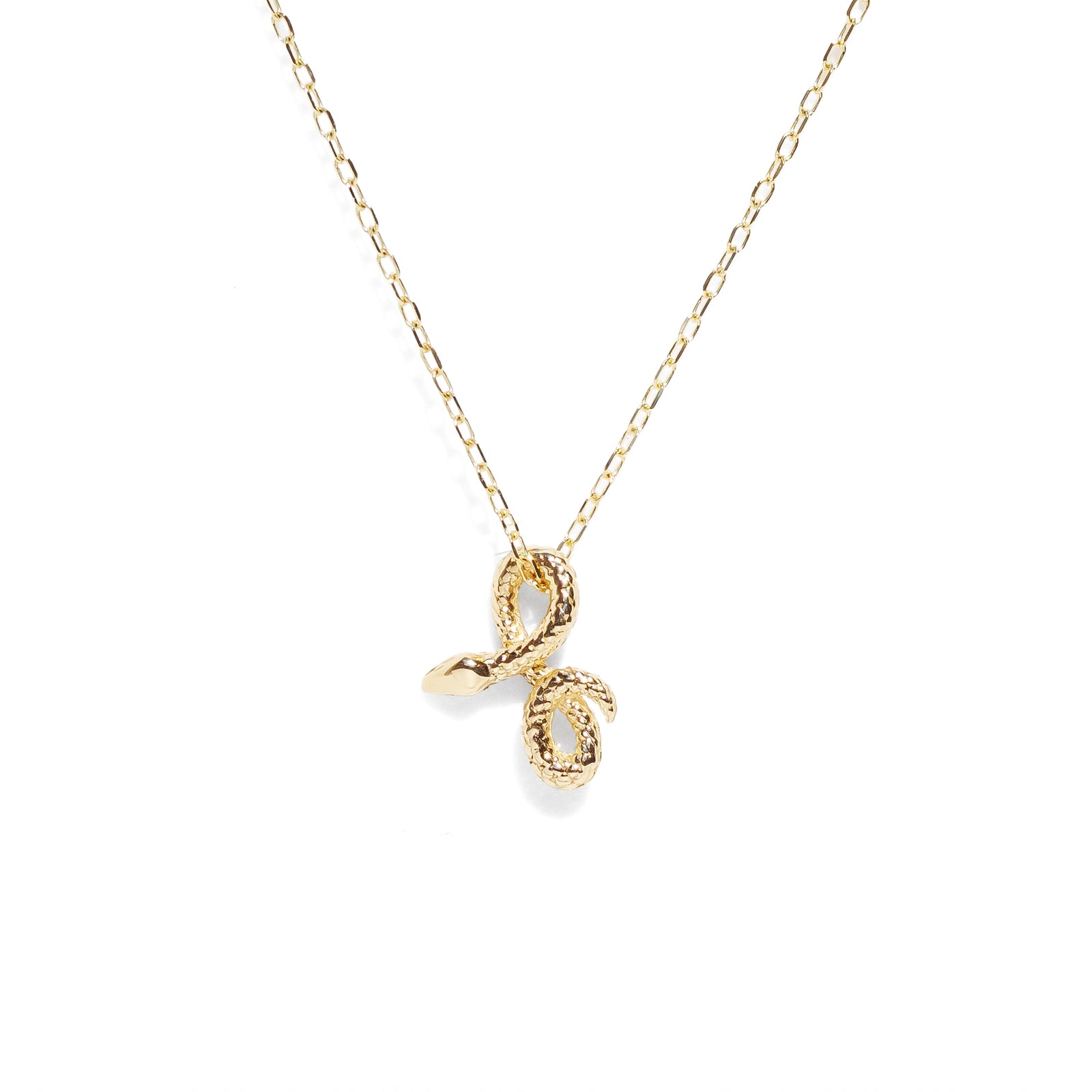 Snake Charm Necklace