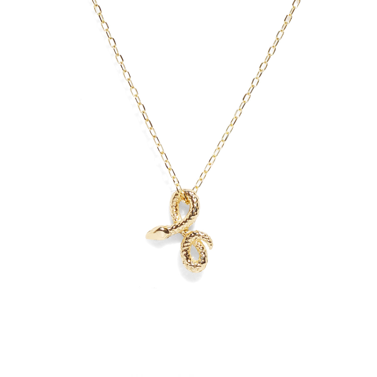 Snake Charm Necklace