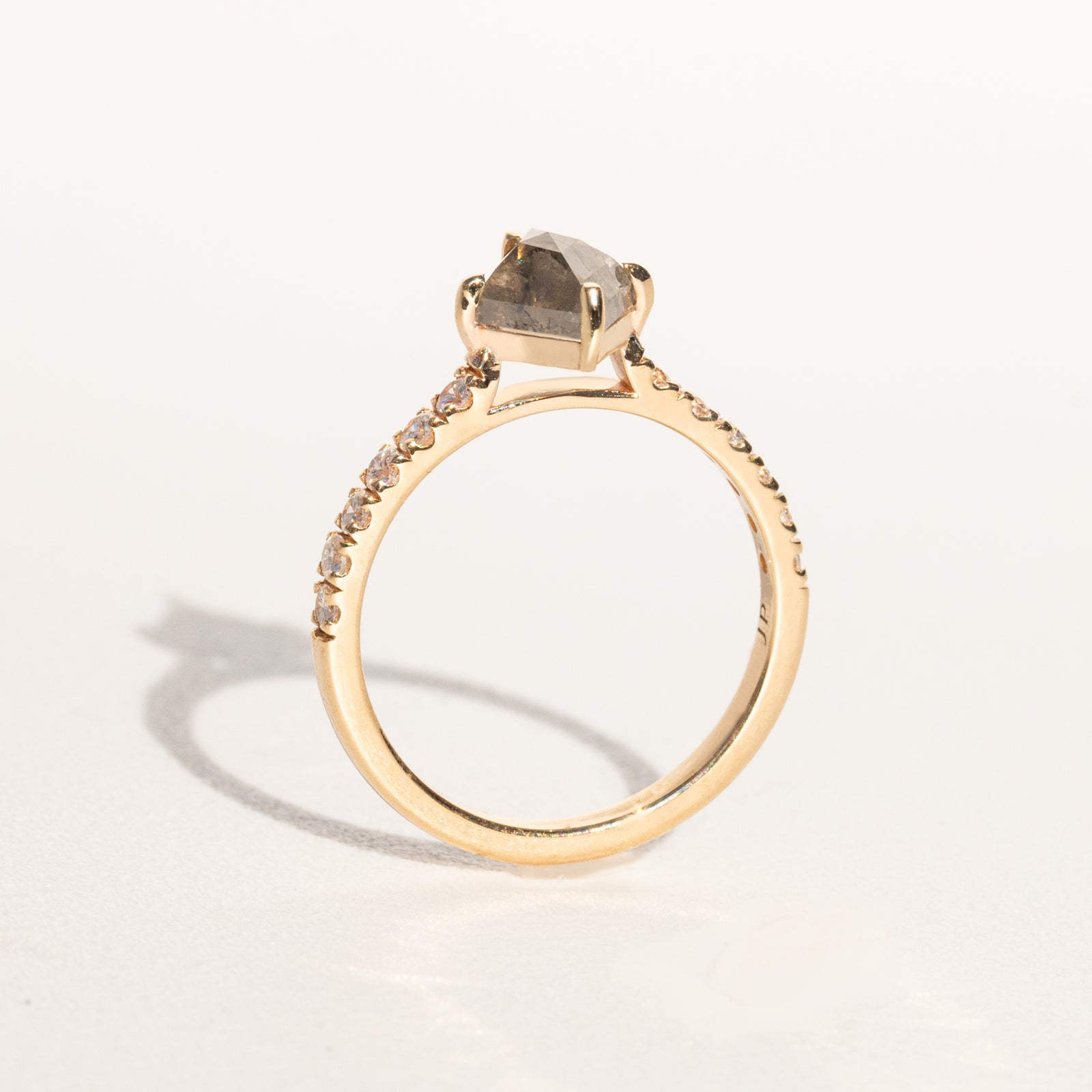 Jamie Park Jewelry |Edith 1.5CT Kite Cut Salt and Pepper Diamond Ring