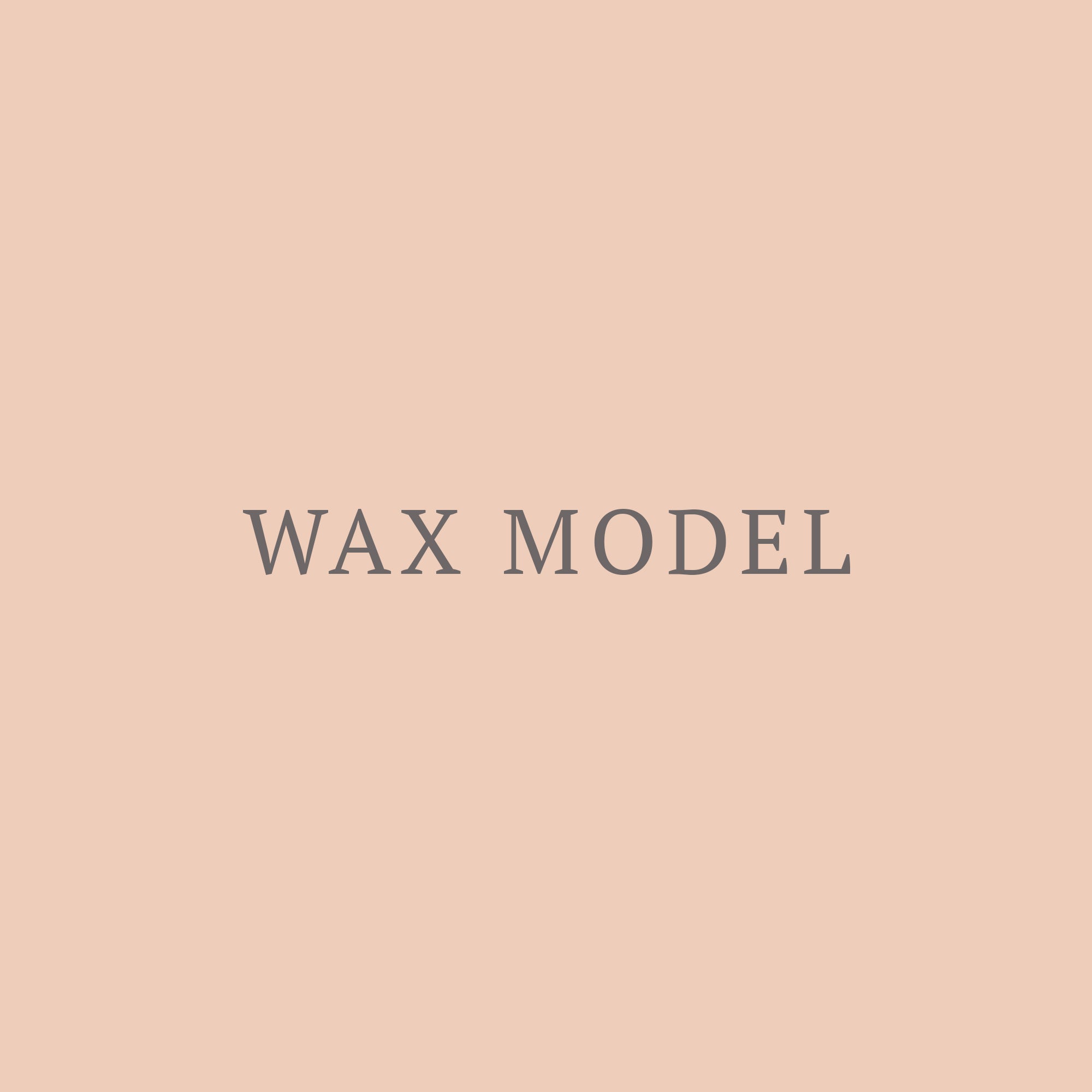 Try-on Wax Model