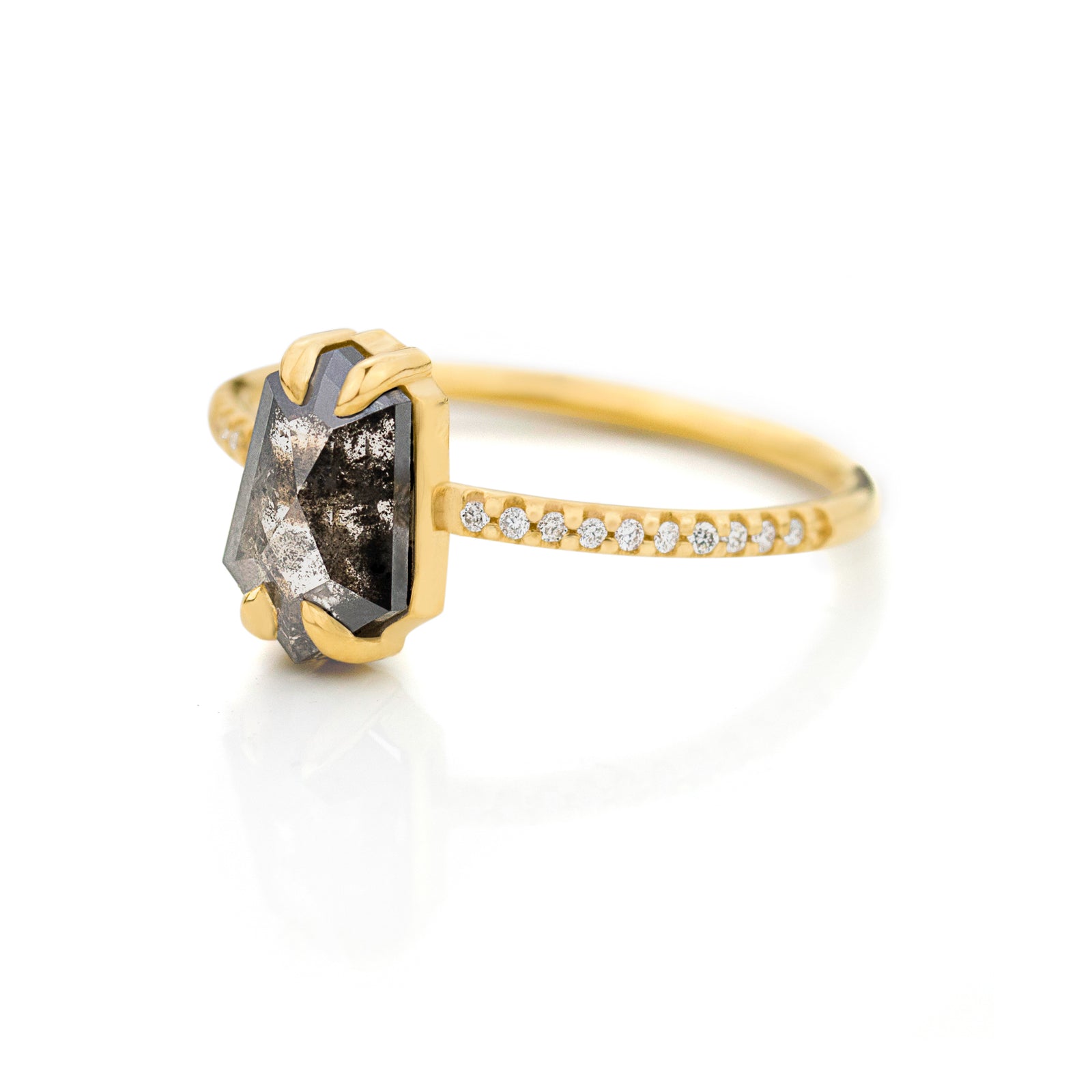 Jamie Park Jewelry -Tapered Hexagon Salt and Pepper Diamond Riley Ring