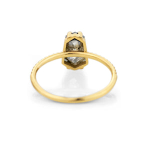 Jamie Park Jewelry -Tapered Hexagon Salt and Pepper Diamond Riley Ring