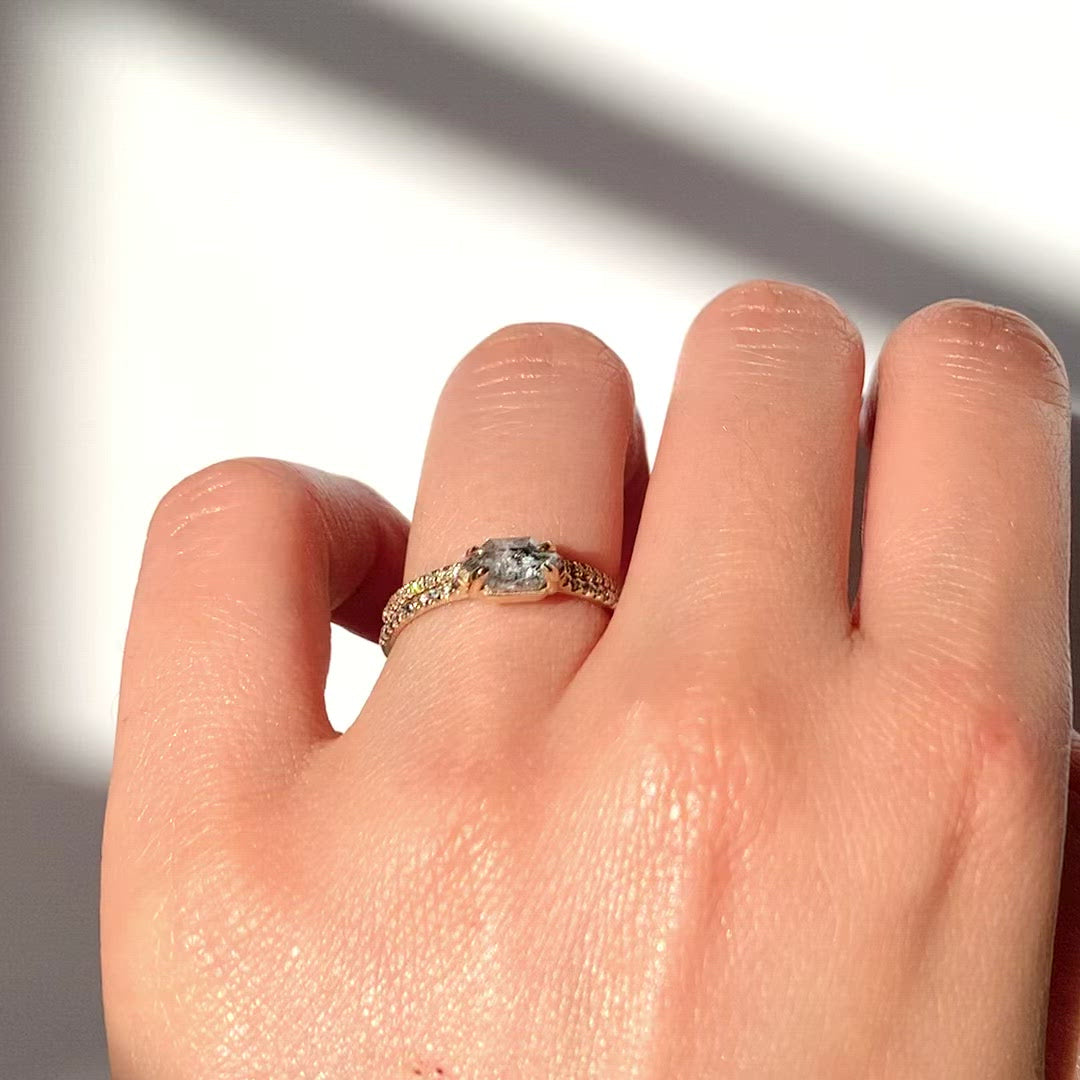 1 Ct. East-West Hexagon Salt and Pepper Diamond Ring